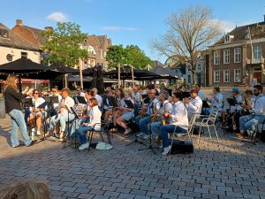 Frisselstein bij Veghel in Hout