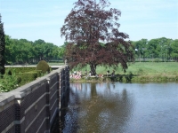 fietstocht Frisselstein 070.jpg