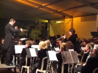 bevrijdings concert 2008 156.jpg